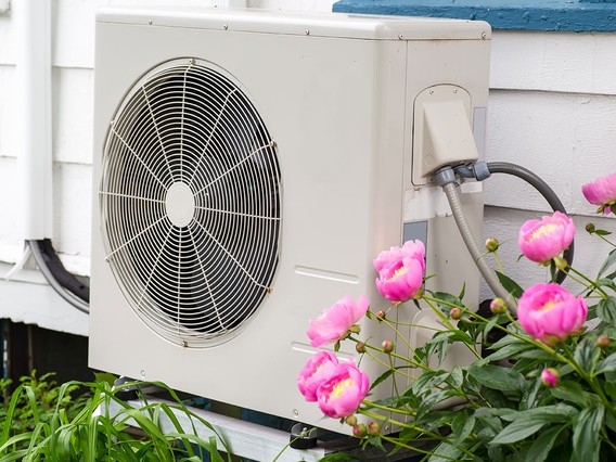 Outdoor air conditioning unit mounted on a wall, surrounded by blooming pink peonies and green foliage.