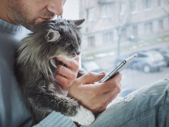 Man holding a fluffy gray cat while looking at a smartphone, sitting by a window with a blurred cityscape in the background.