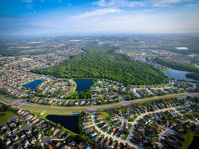 Cheapest Car Insurance Companies in Kissimmee, FL (From $116)