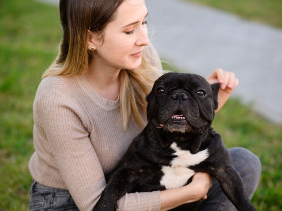 Woman in a beige sweater sitting on grass, holding a black French Bulldog with a white chest, gently touching its ear.
