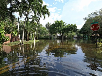 Florida Flood Insurance: What You Need to Know in 2025