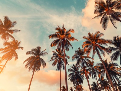 How to Find the Cheapest Car Insurance in California for Low-Income Drivers (2026)