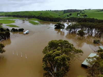 Texas Flood Insurance: What You Need to Know in 2025