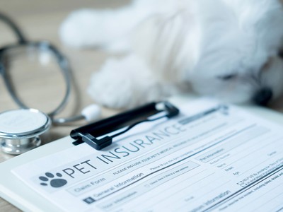 How Much Pet Insurance Costs in 2026: Average Rates, Discounts, and More