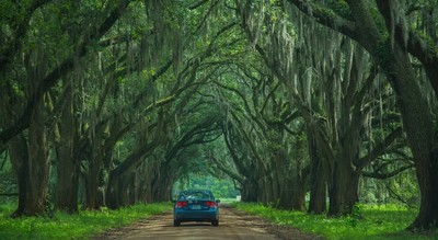 Why Are Car Insurance Rates by State Different?