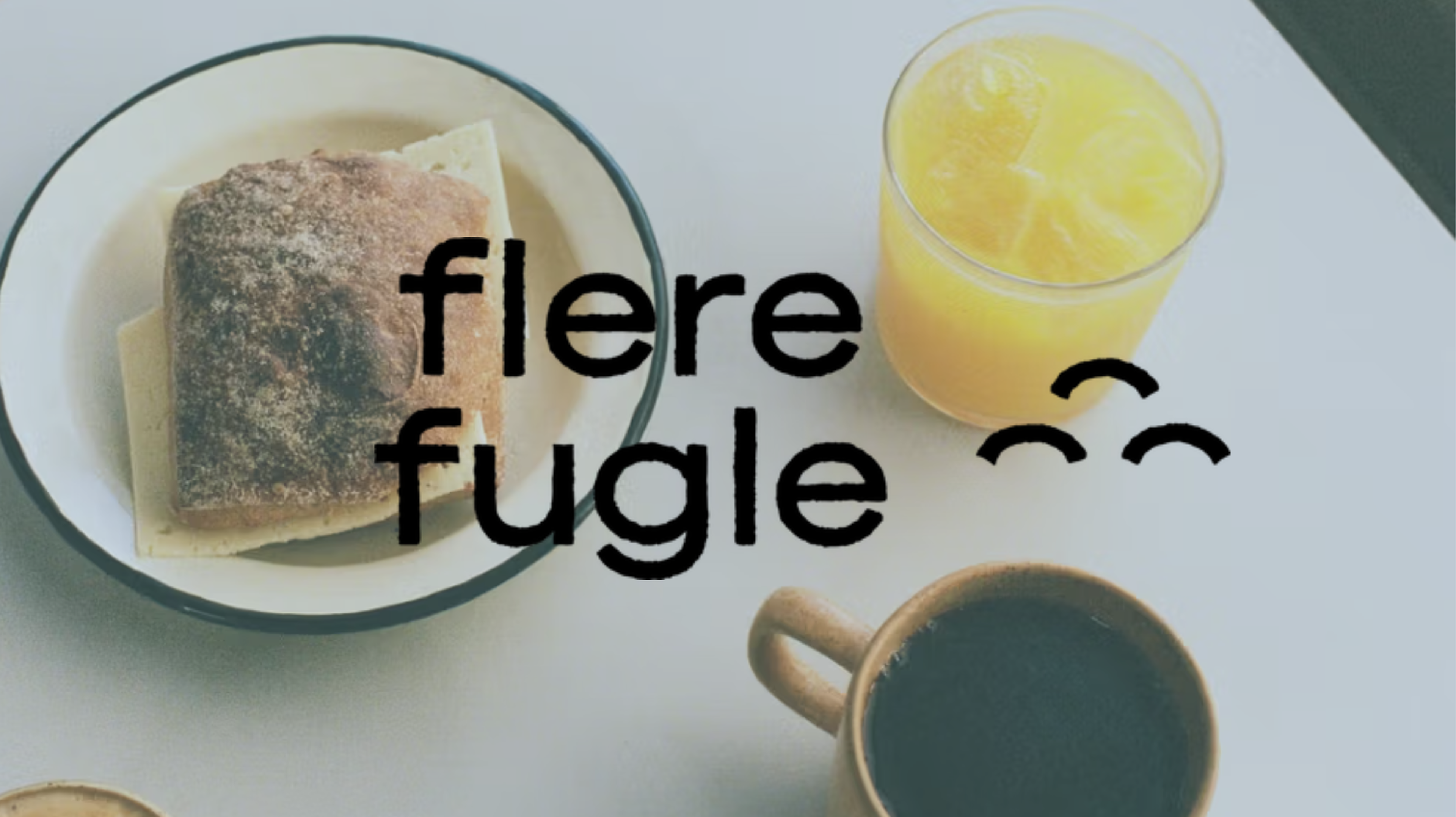 Flere Fugle, firmalevering