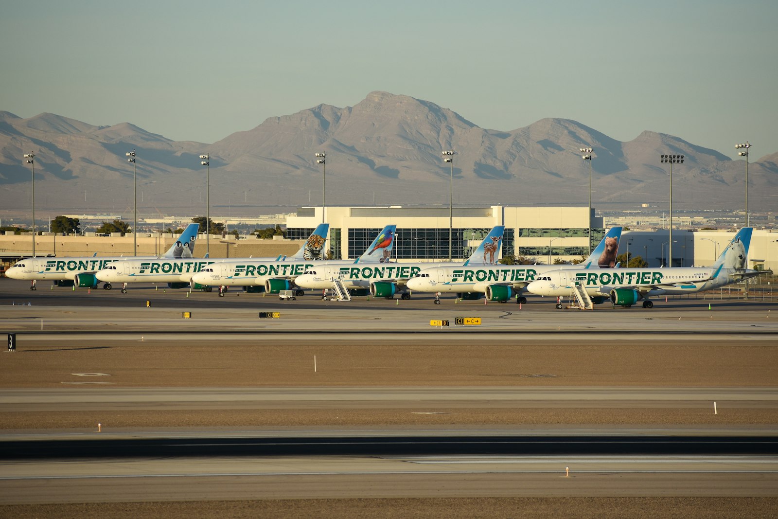 Passenger jet at Harry Reid International Airport in Las Vegas