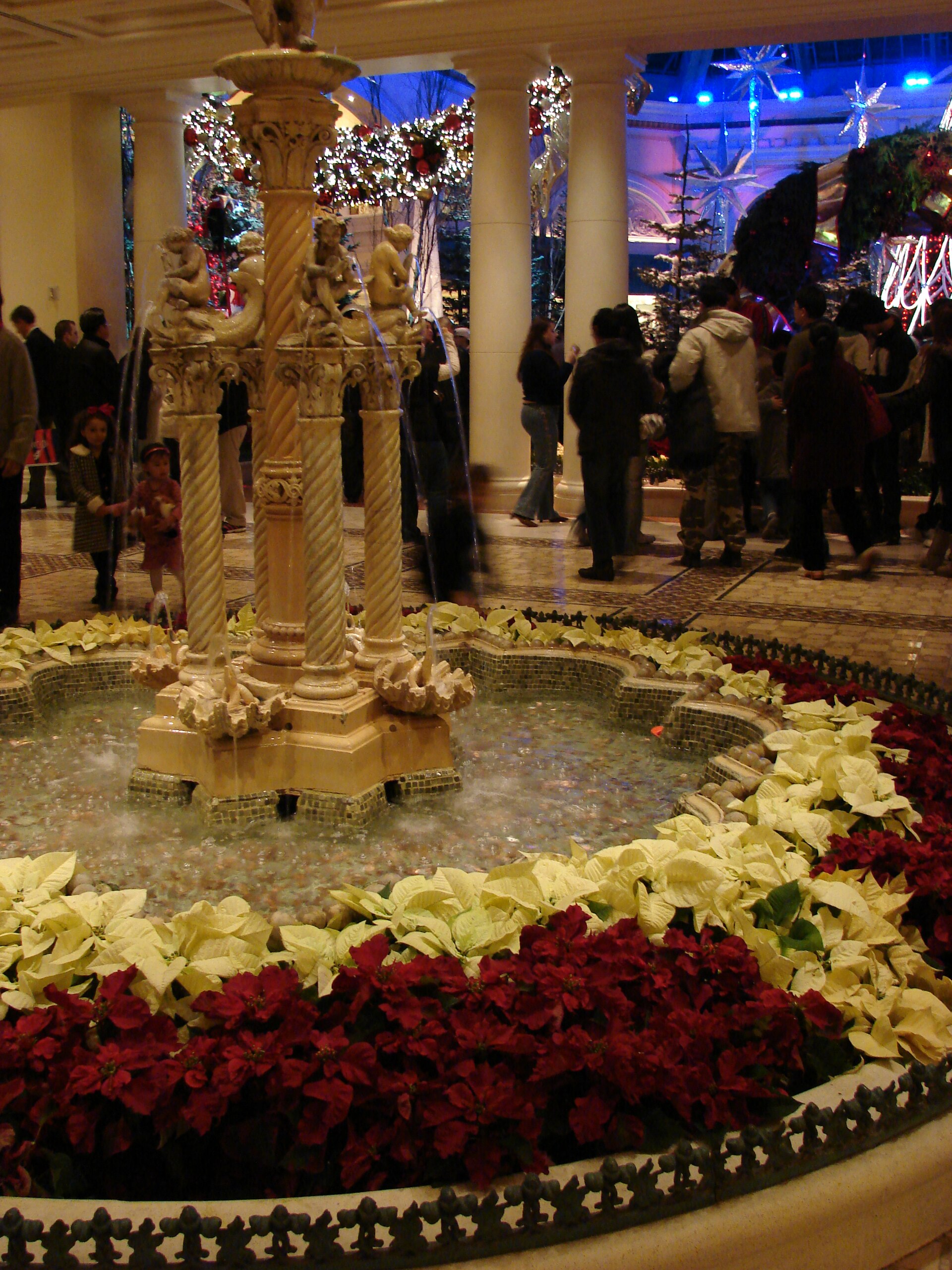 Red and white poinsettias arranged in a holiday display at the Bellagio Conservatory