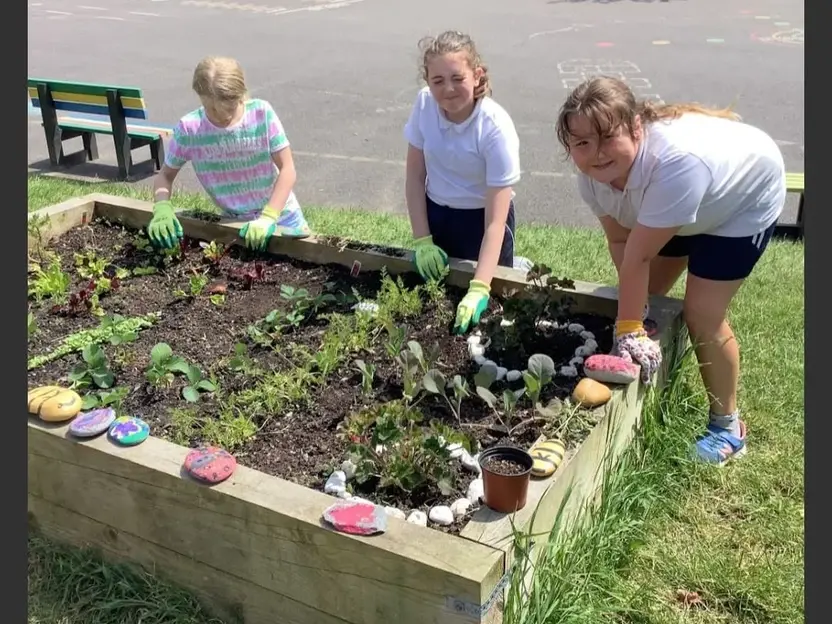 Pupils planting in a raised bed in the school garden