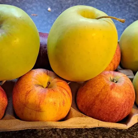 Photography competition 2026 entry from Senior Infants, theme: Still Life Food