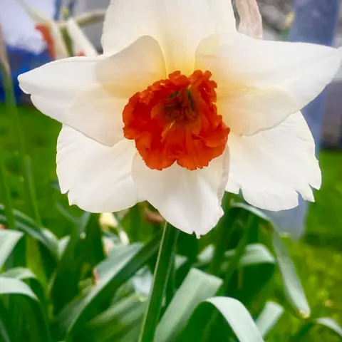 Photography competition 2026 entry from 4th Class, theme: A Snapshot of Spring