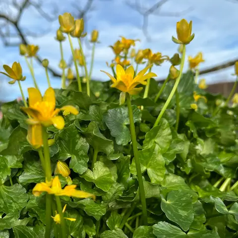 Photography competition 2026 entry from 4th Class, theme: A Snapshot of Spring