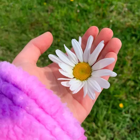 Photography competition 2026 entry from 4th Class, theme: A Snapshot of Spring