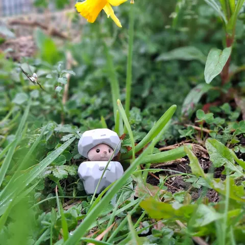 Photography competition 2026 entry from 4th Class, theme: A Snapshot of Spring