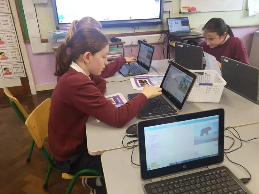 Pupils coding on laptops in class