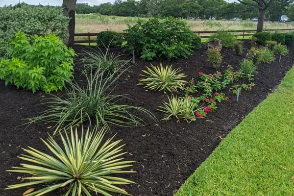 Landscape Committee