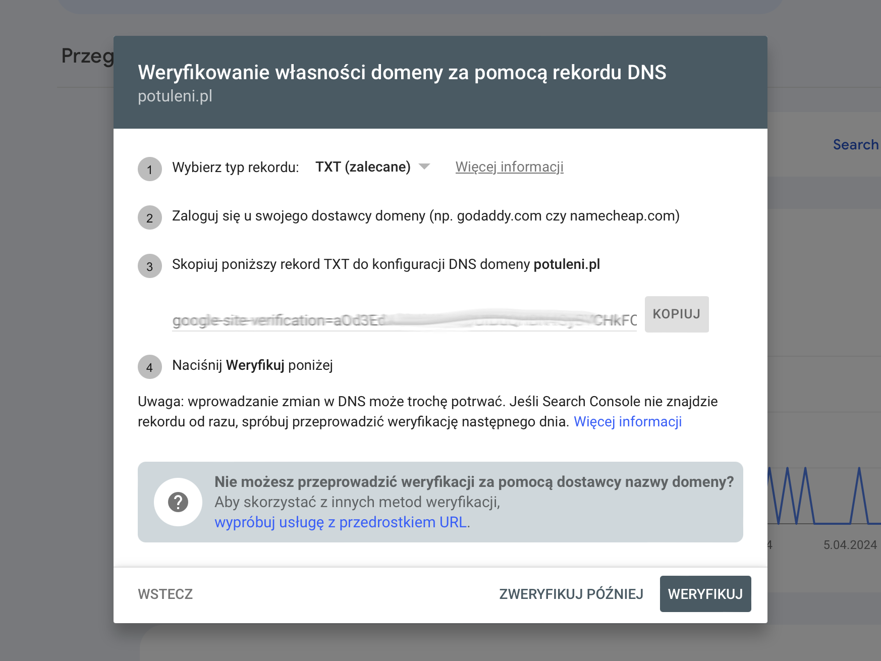 Google Search Console weryfikacja właściciela domeny