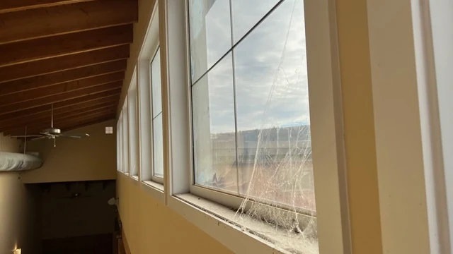 A row of tall windows beneath a timber ceiling at a Falconhurst project