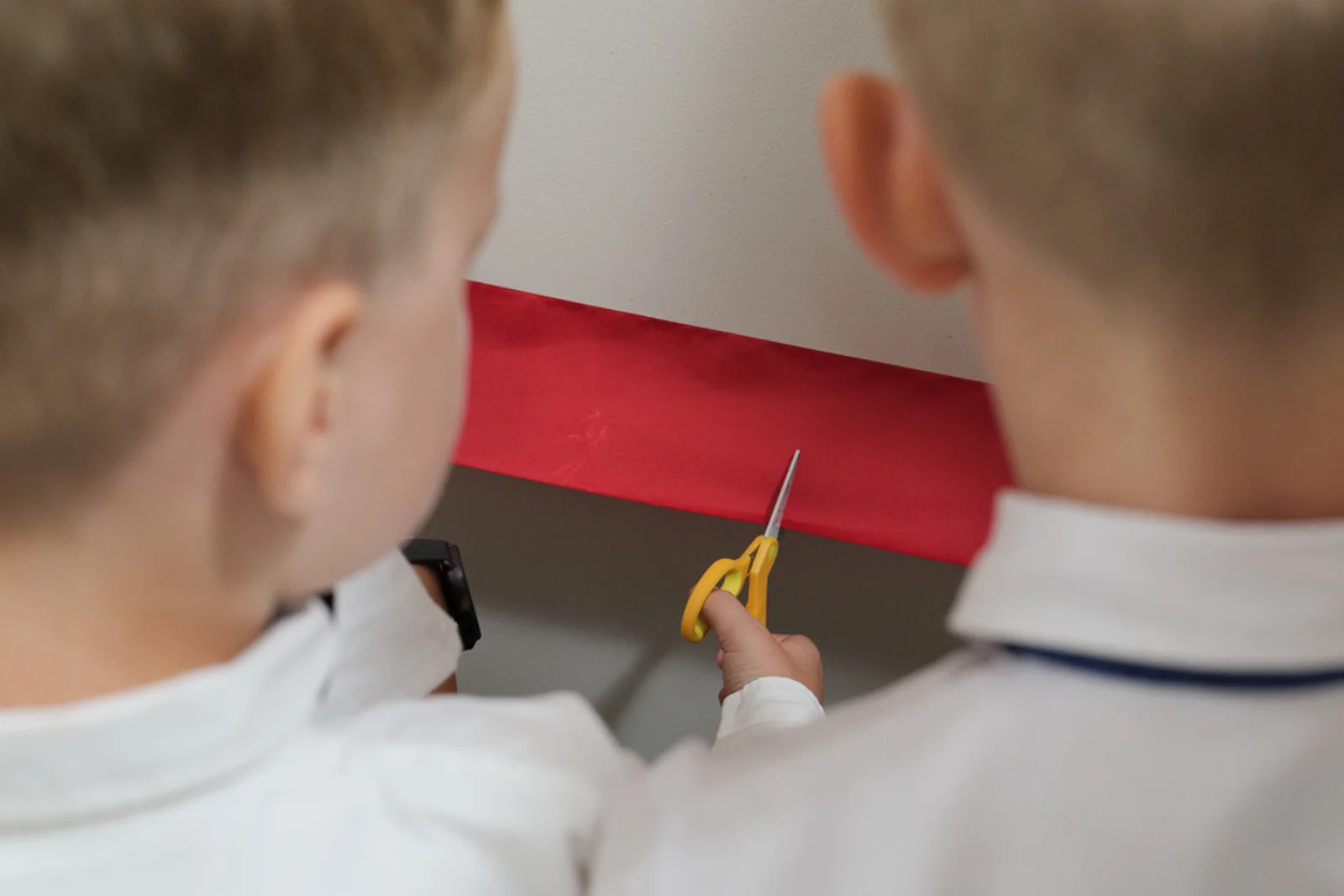 Szkoła Podstawowa Harmonia w Rybniku – ujęcie 1