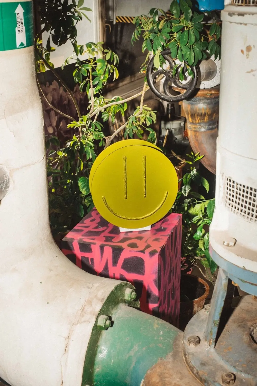 Acid Vase on a graffiti-covered box among plants and pipes