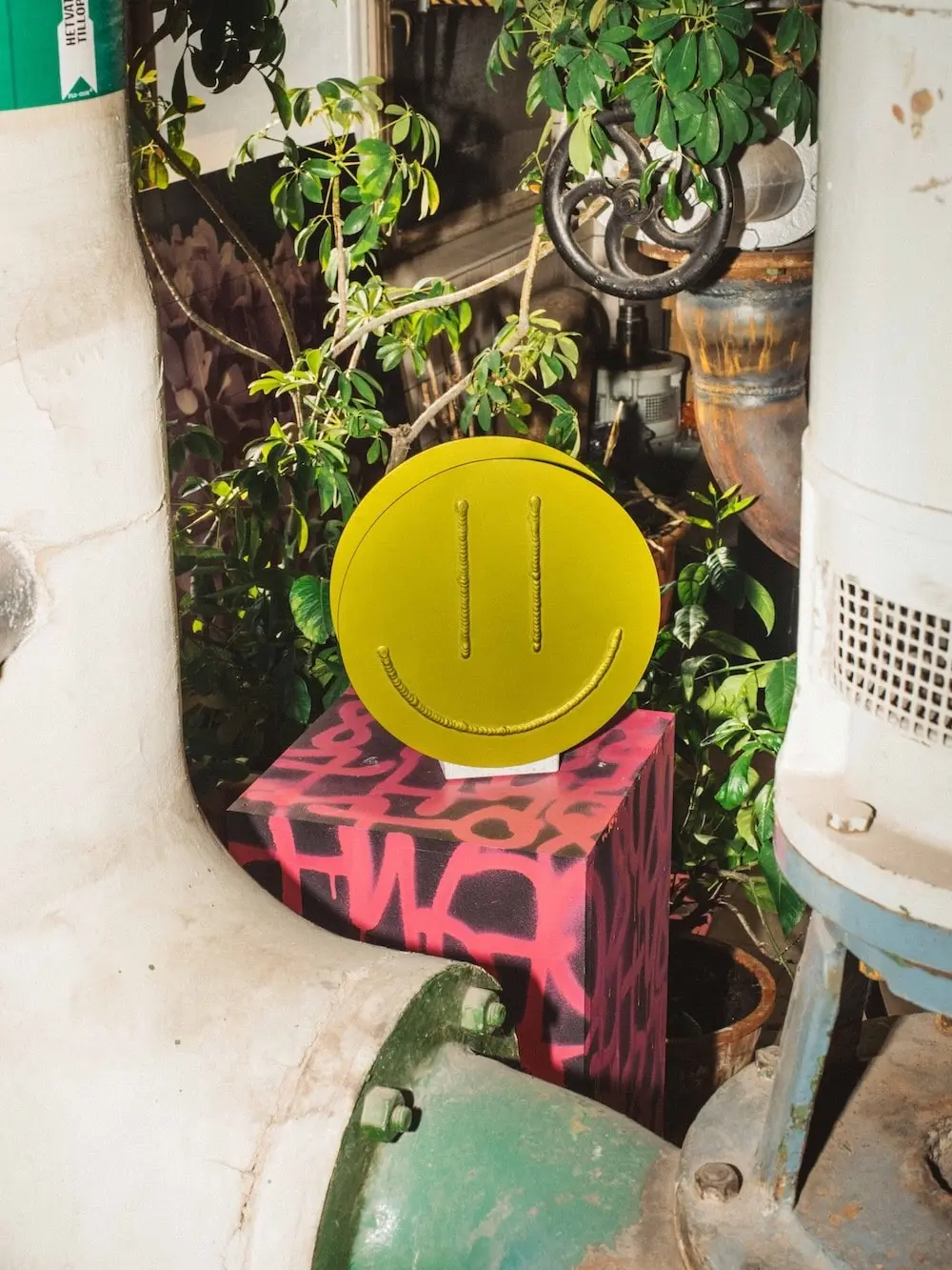 Acid Vase on a graffiti-covered box among plants and pipes