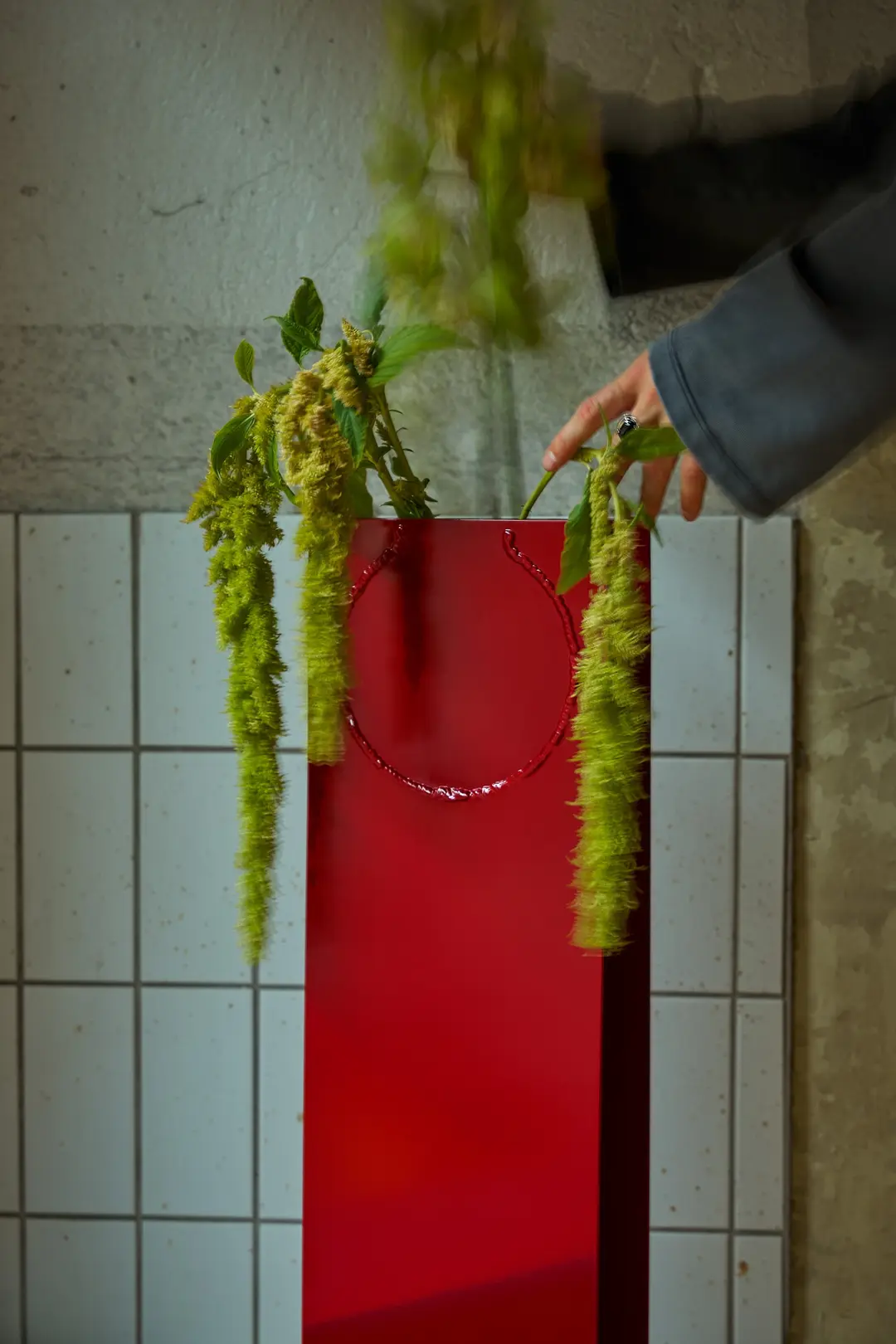 Close-up of the red vase with hanging amaranth