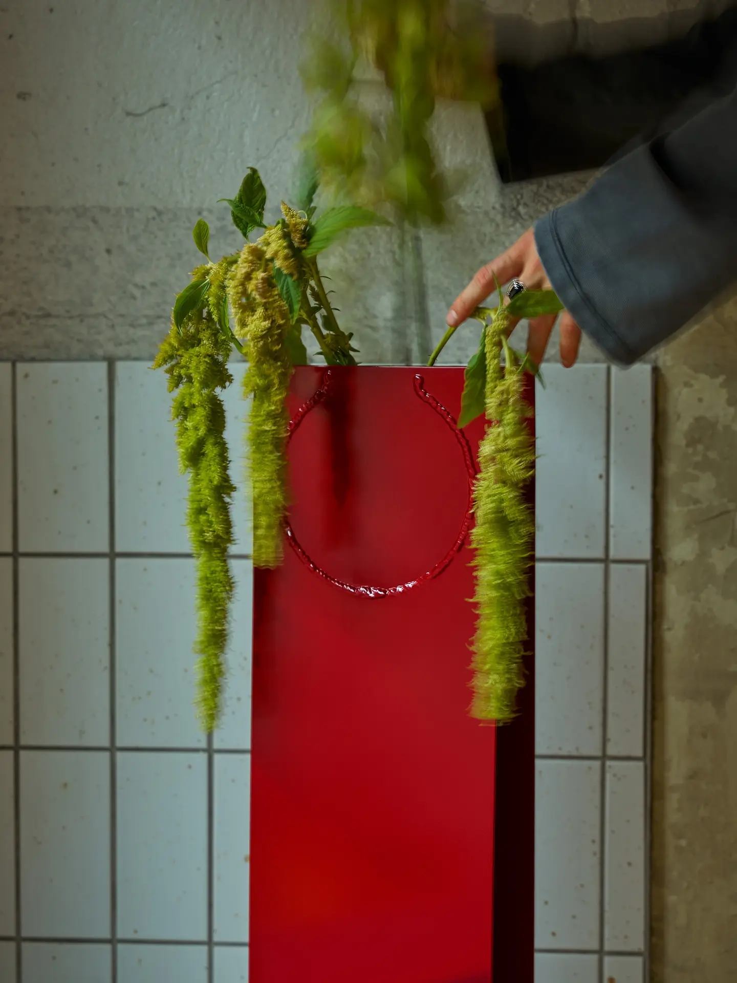 Close-up of the red vase with hanging amaranth