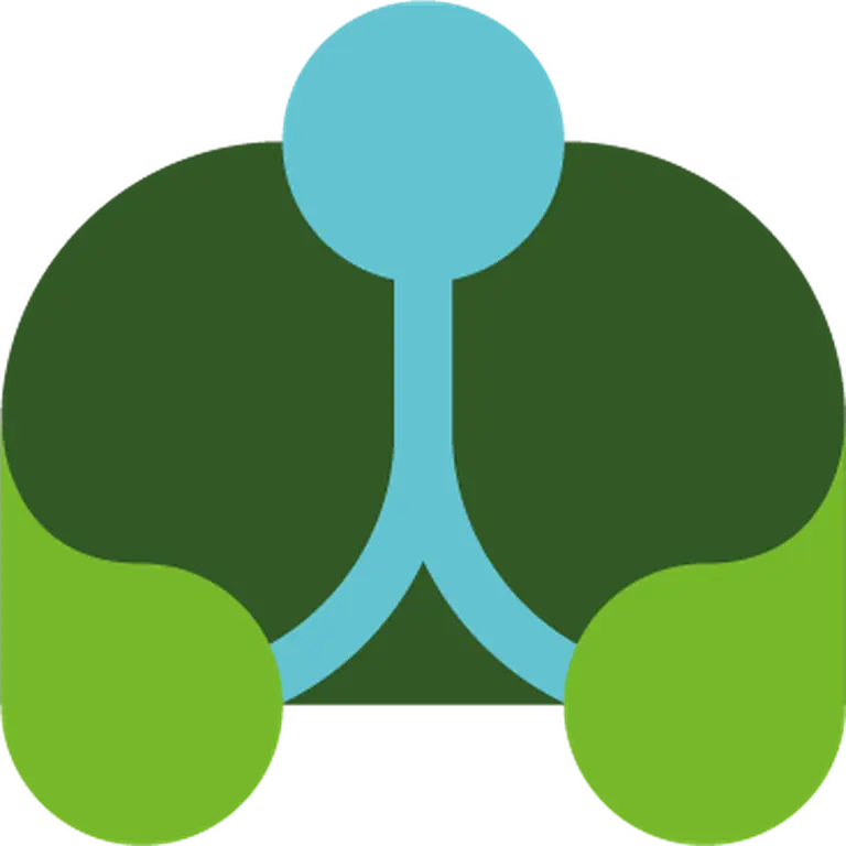 Pulmunology icon