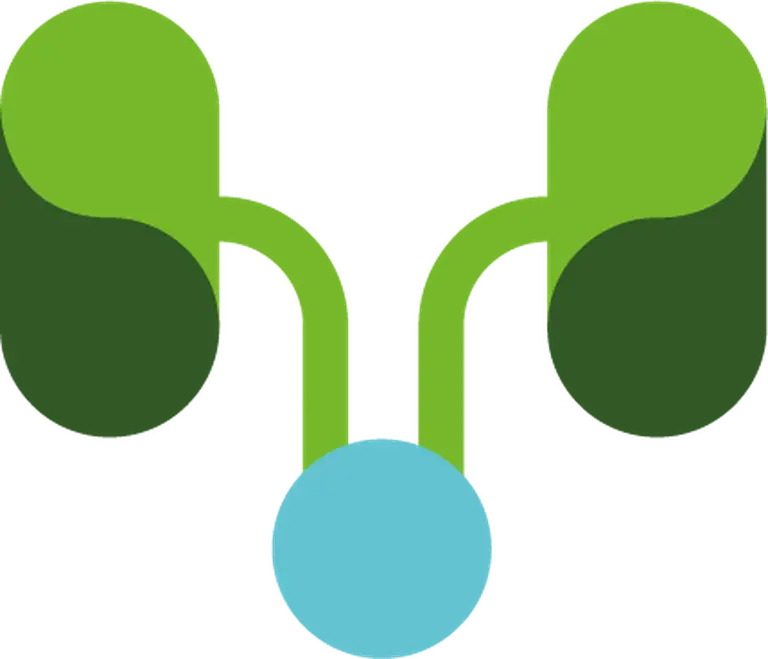 Nephrology icon