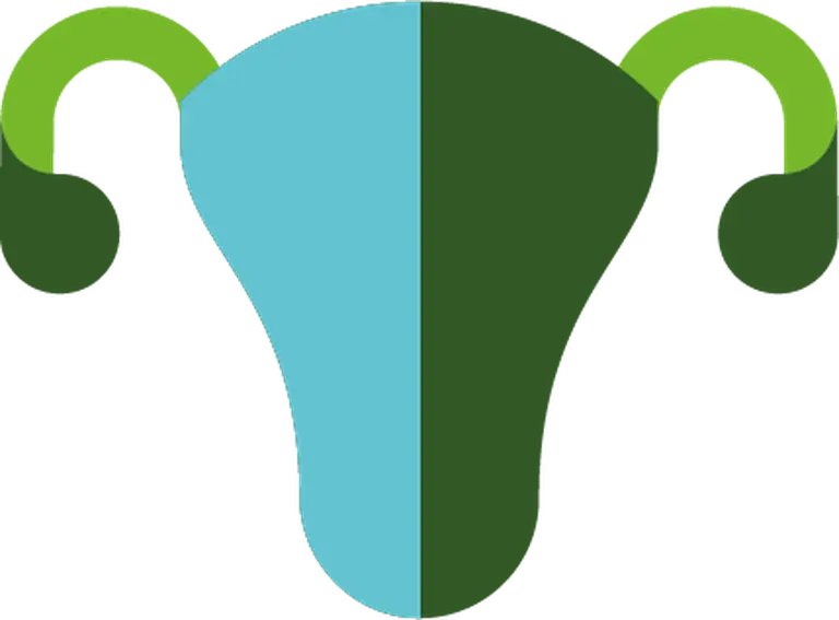 Gynecology icon