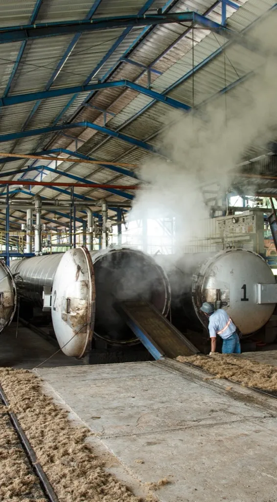 Steam rising from sterilisers in a palm oil mill, with a worker beside them