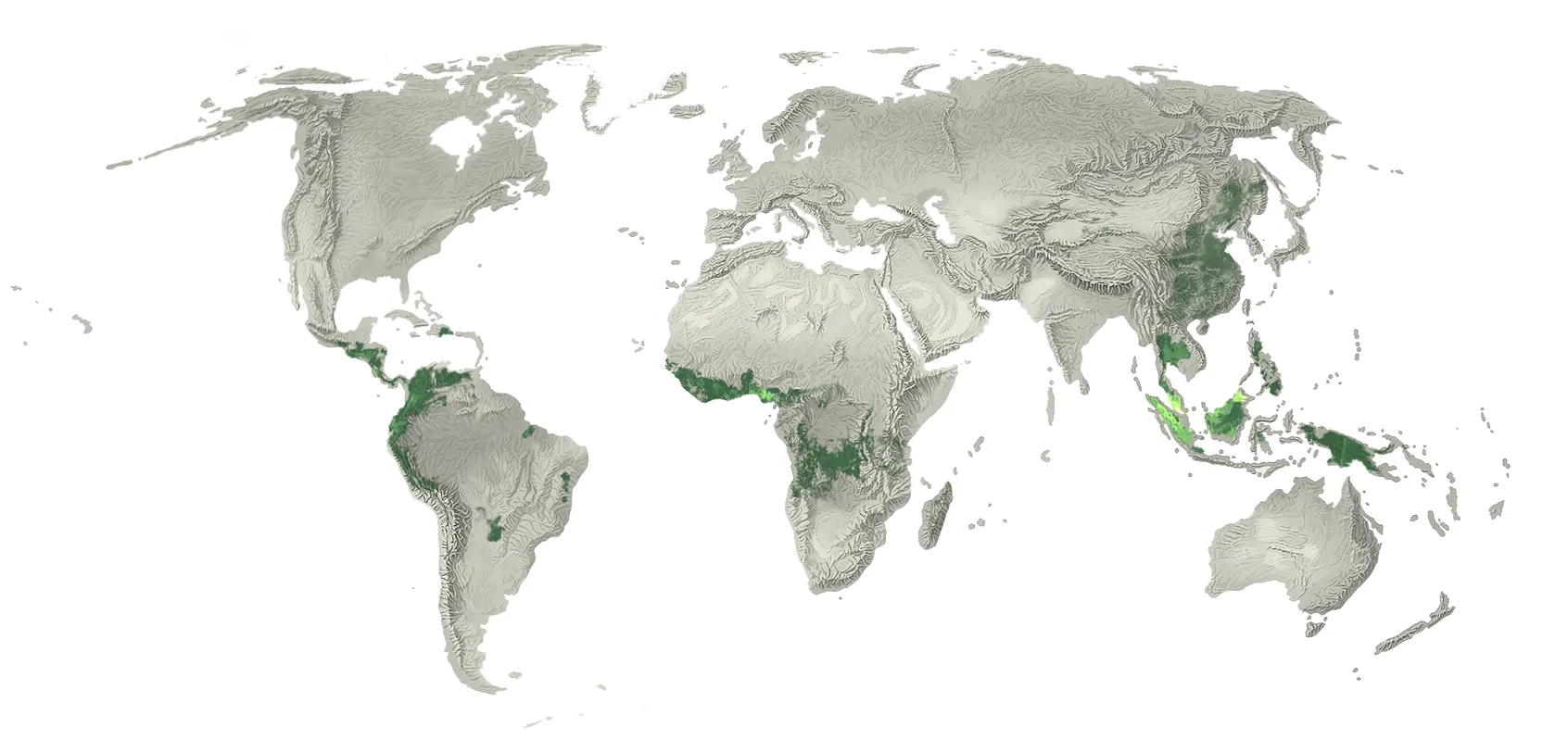 World map showing forest cover