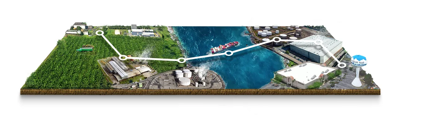 A palm oil supply chain across a landscape, from plantation and mill to refinery, port, ship, warehouse and shopping mall