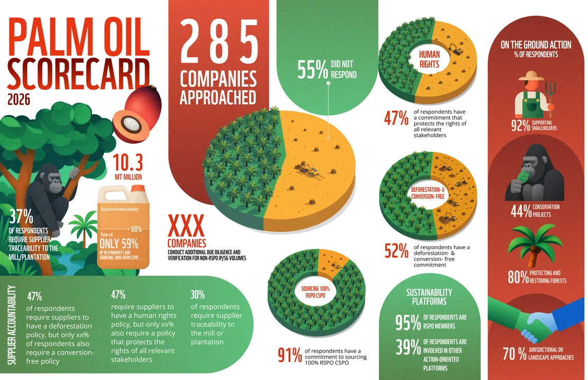 Infographic summarising the 2026 Palm Oil Buyers Scorecard results for 285 companies