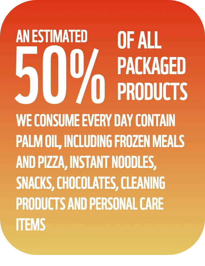 An estimated 50% of all packaged products we consume every day contain palm oil, including frozen meals and pizza, instant noodles, snacks, chocolates, cleaning products and personal care items.