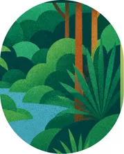 Illustration of a forest beside a river