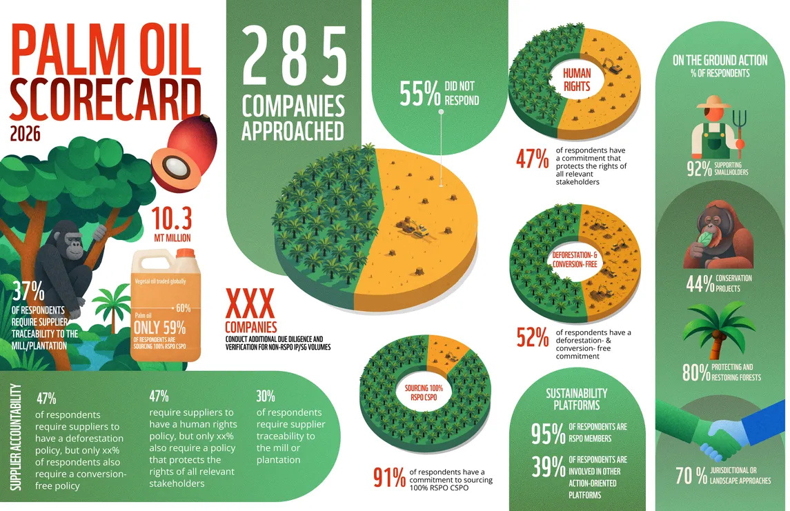 Infographic of the 2026 Palm Oil Scorecard: 285 companies approached, their response rate, scores and the share of certified and deforestation-free palm oil they use