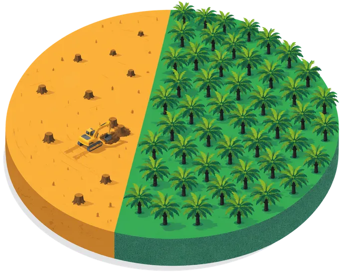 A disc split between a palm plantation and cleared land, showing the average score