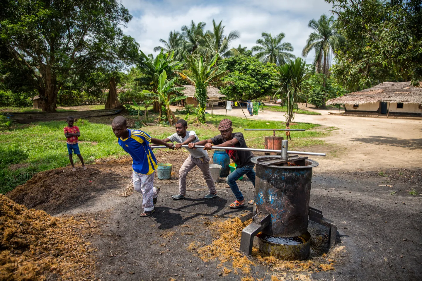 Villagers working a manual palm oil press