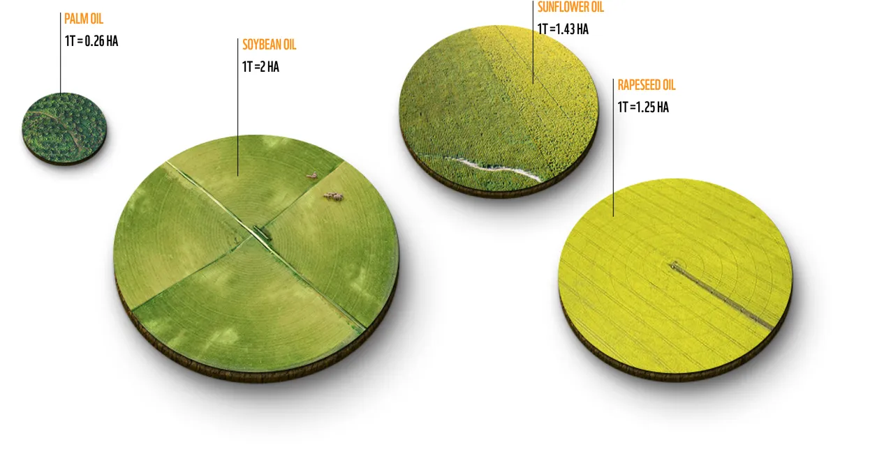 Land required to produce 1 tonne of oil: palm oil 0.26 ha, rapeseed oil 1.25 ha, sunflower oil 1.43 ha, soybean oil 2 ha.