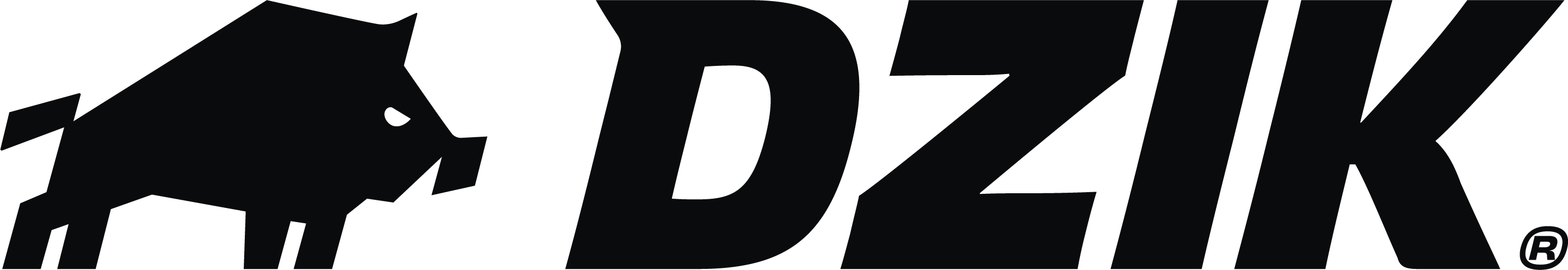 DZIK