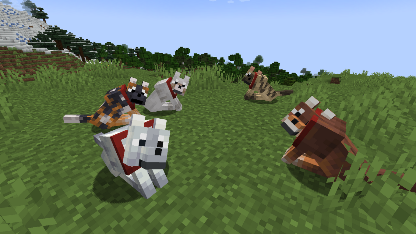 Every New Wolf In Minecraft 1.21 | Shockbyte, image size:1366x768