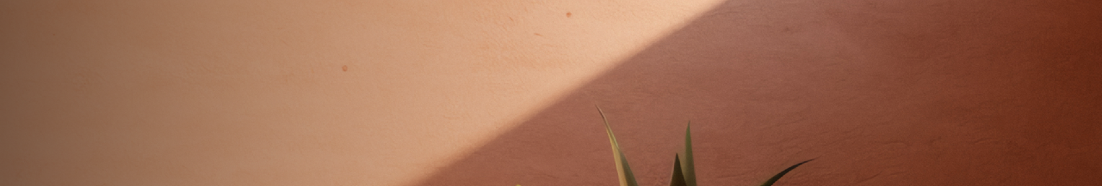 Summer Challenge Invitation Banner Background