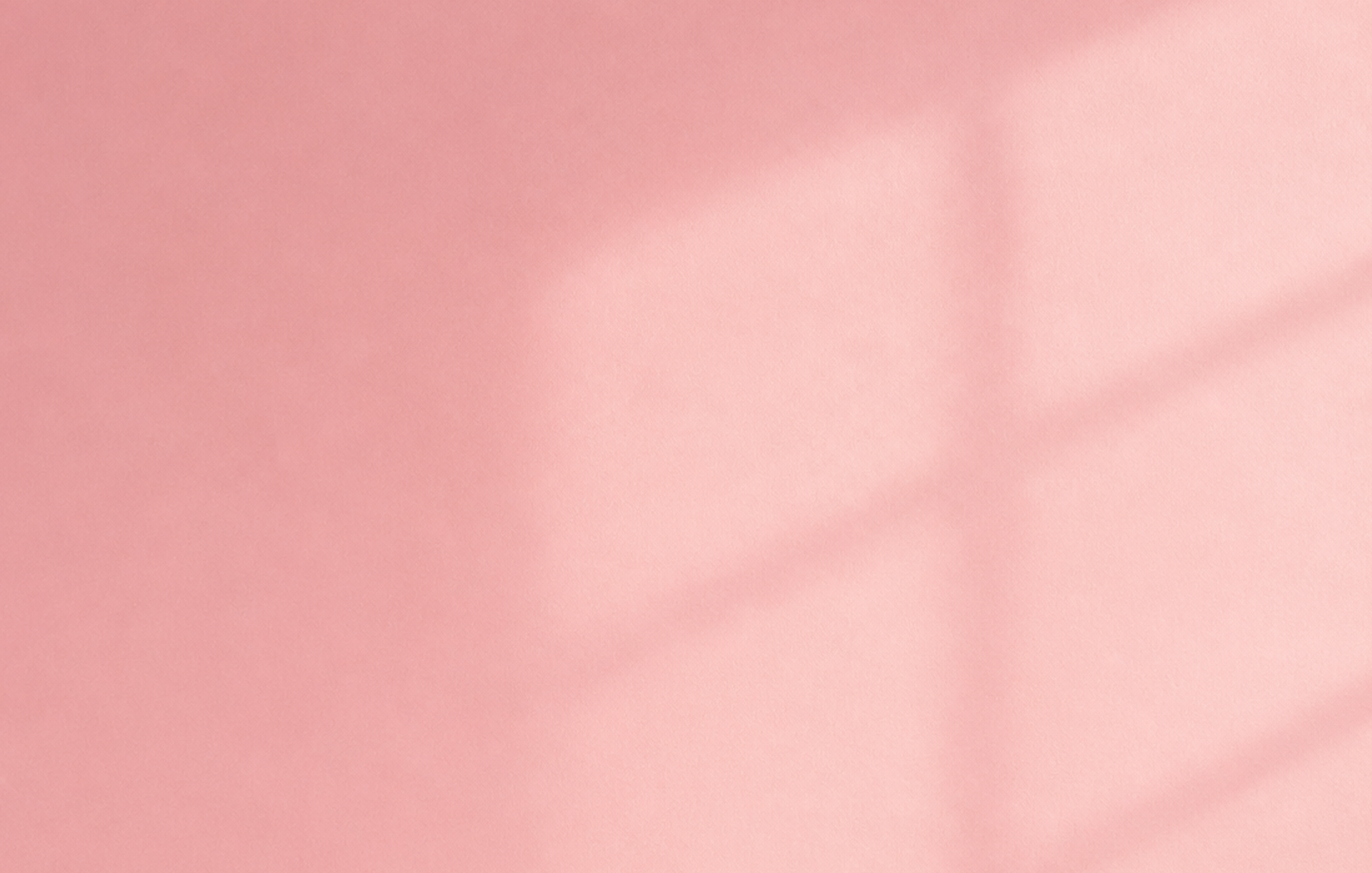buch-selbst-bestimmt-section-pink-background