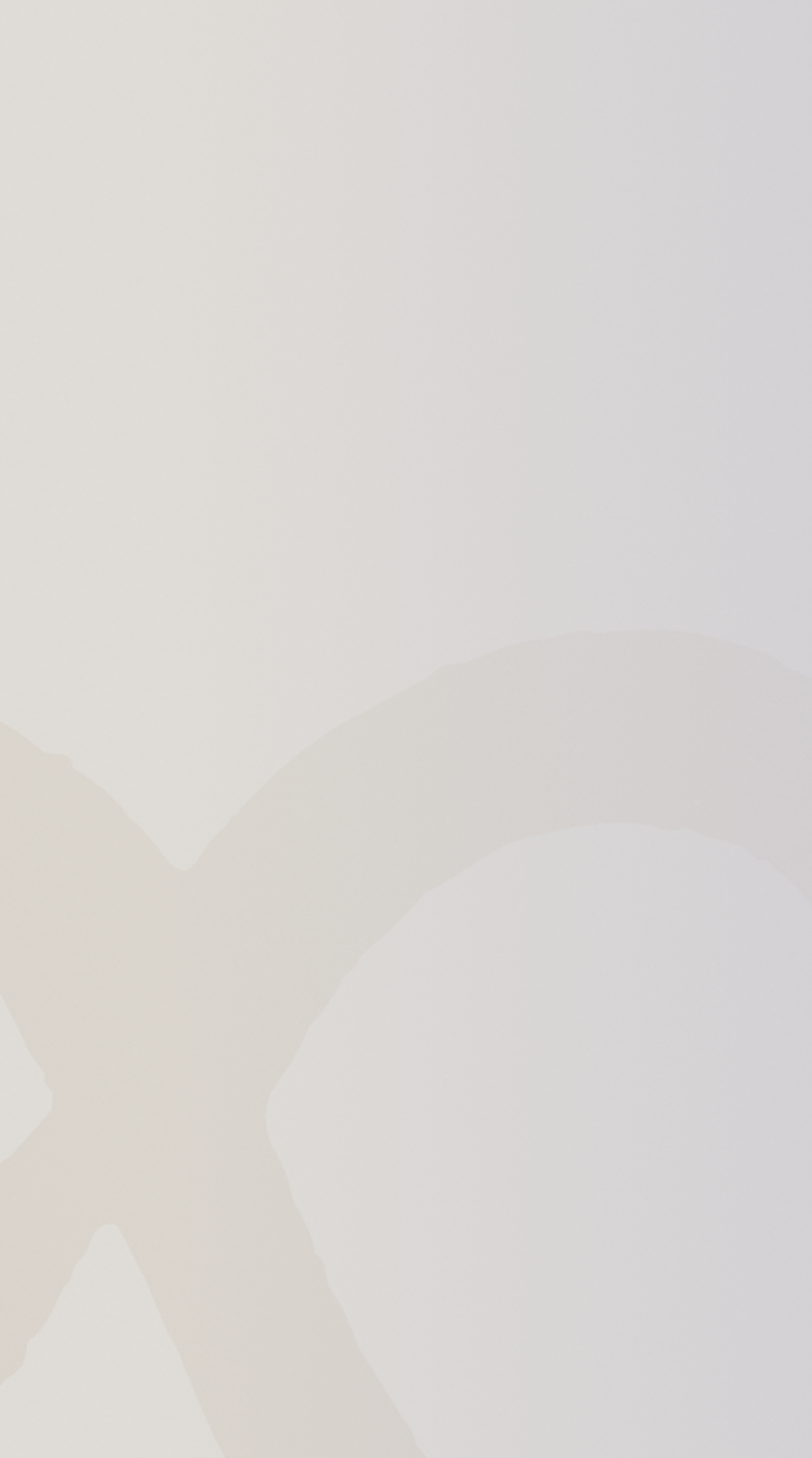 Mobile Asset 1
