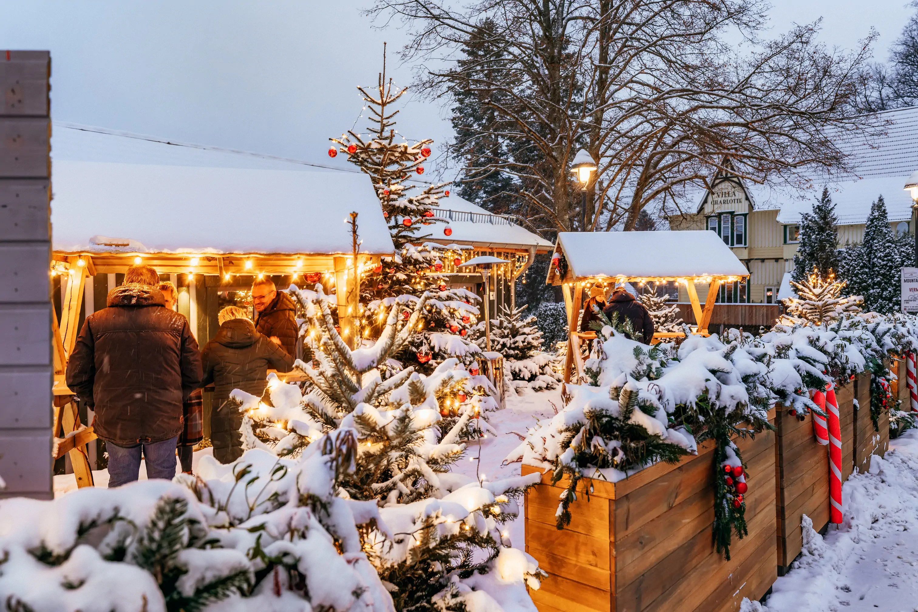 Weihnachtszauber im Schierke HARZRESORT!