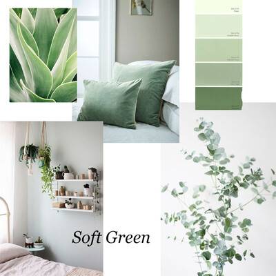 Questa immagine mostra cuscini, piante e una cartella colori, tutti di colore verde chiaro.