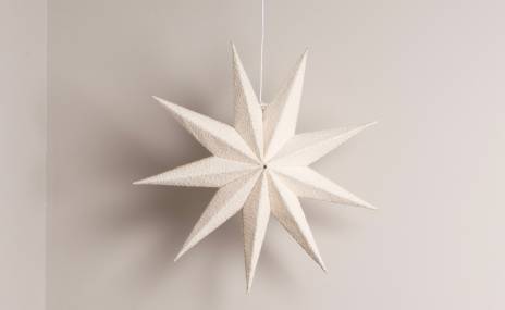 Christmas LP Poinsettia 2