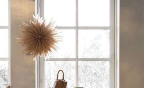 Christmas LP Poinsettia 3