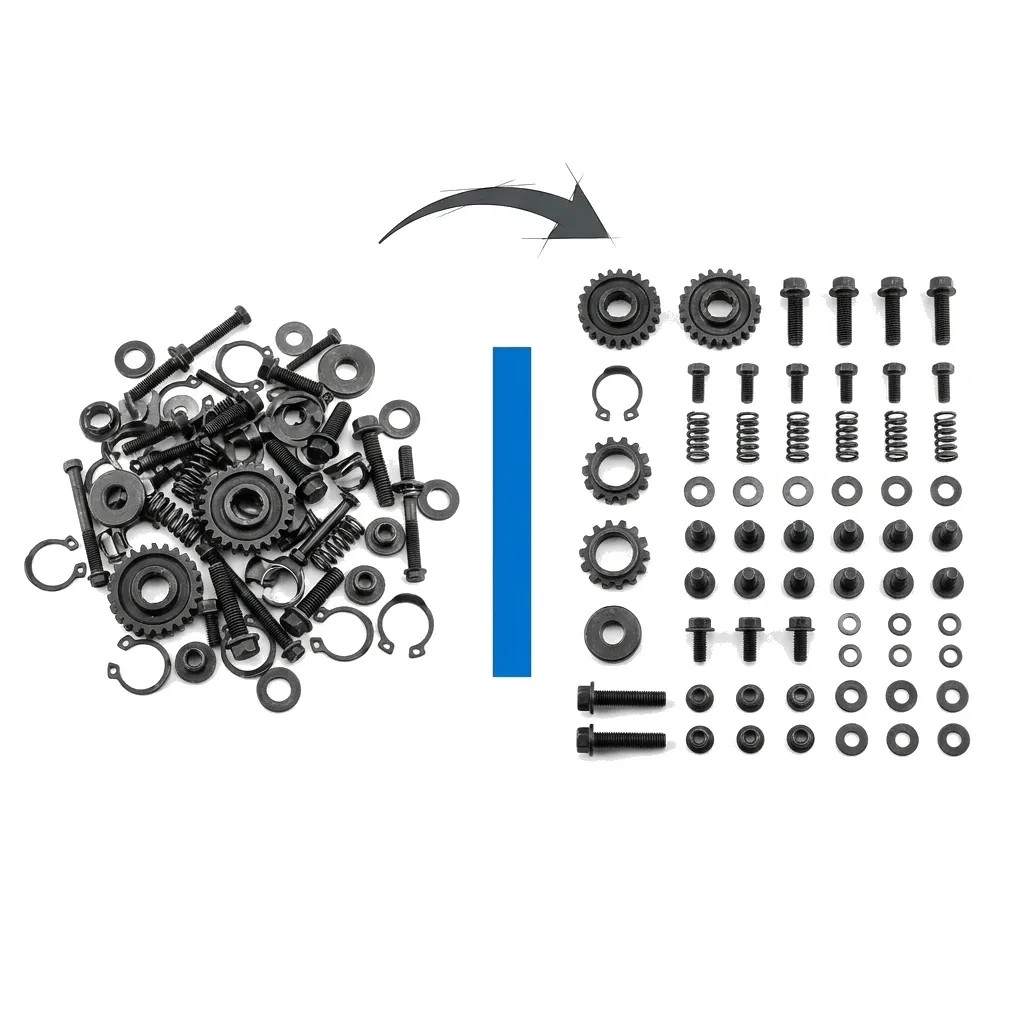 Data Service on Demand